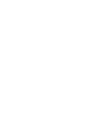 ShieldKnight